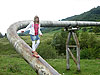 Bild 13 vergrern