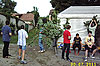 Bild 12 vergrern